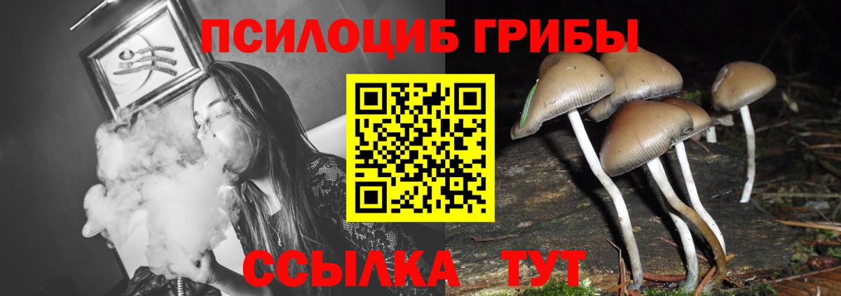 Ковров  Псилоцибиновые грибы ЛСД  Вход с VPN 